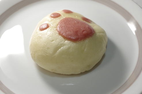 �p���O����